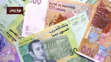 سعر الدرهم يتقلب: ارتفاع مقابل الدولار وانخفاض أمام الأورو